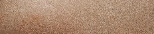 Niod Copper Peptides Collagen Production