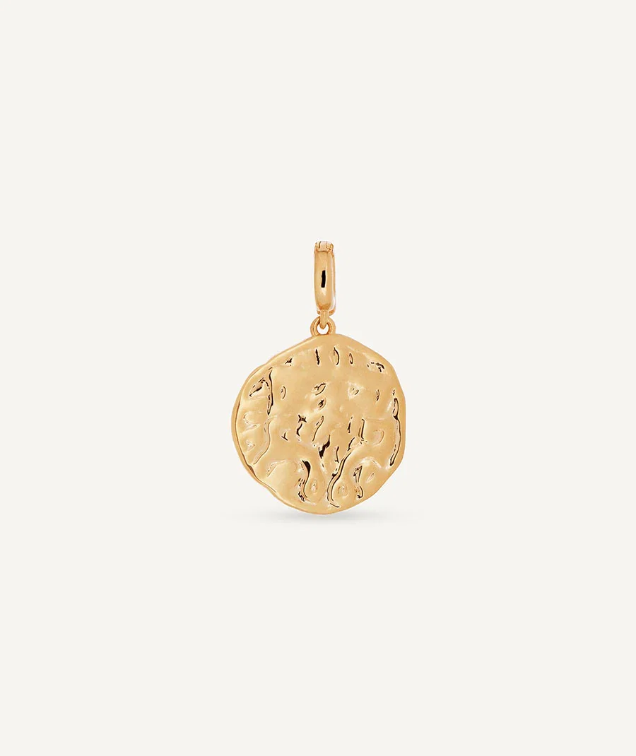 Image of Charm Moneda