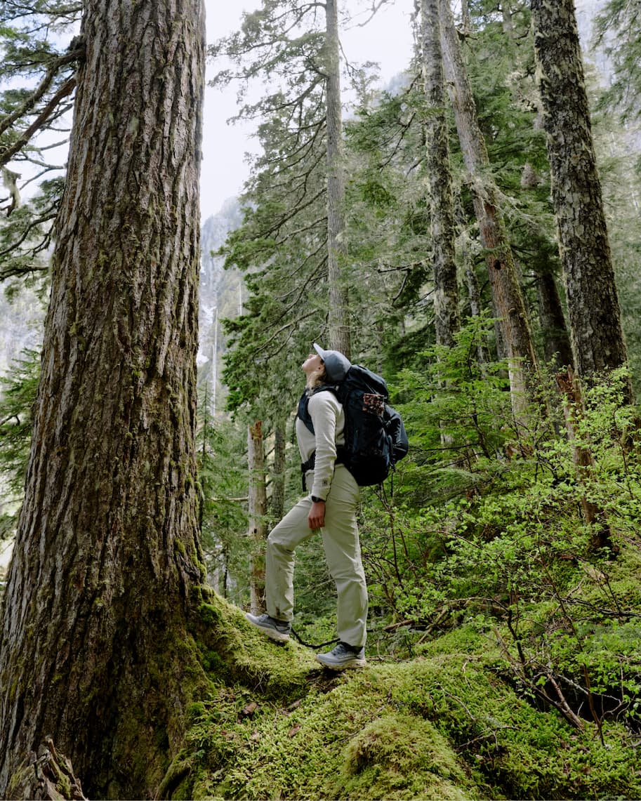 Backpacking gear