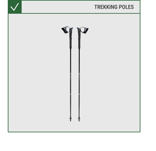 Trekking poles