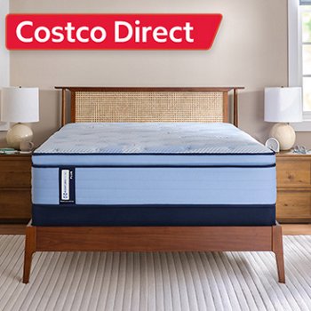 Costco Direct