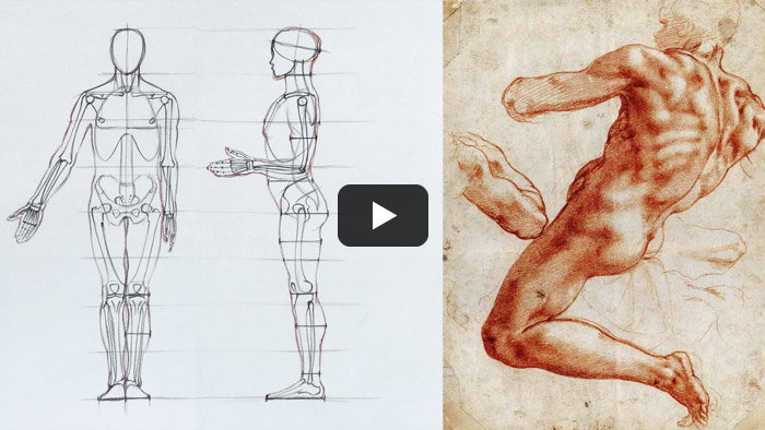 Free Video Lesson: Human Figure Proportions