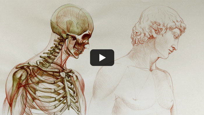 Free Video Lesson: How to Draw a Realistic Face