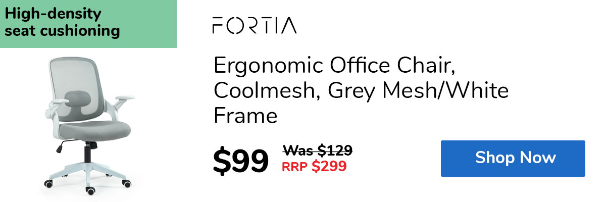 Ergonomic Office Chair, Coolmesh, Grey Mesh/White Frame