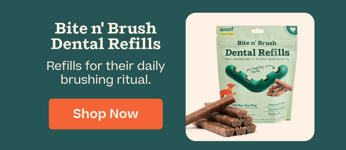 Shop 20% off Bite n' Brush Dental Refills