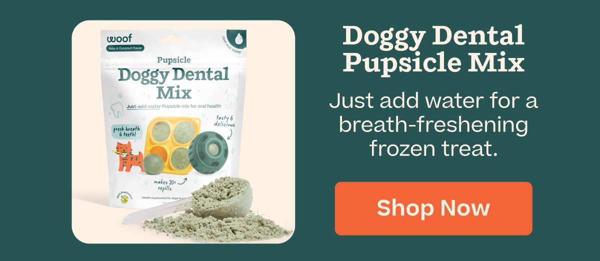 Shop 20% off Doggy Dental Pupsicle Mix