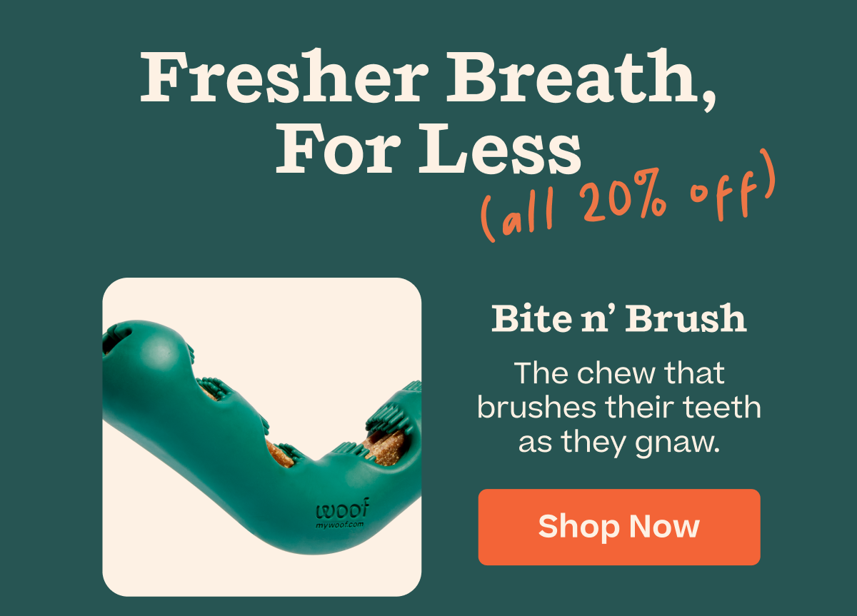 Shop 20% off Bite n' Brush