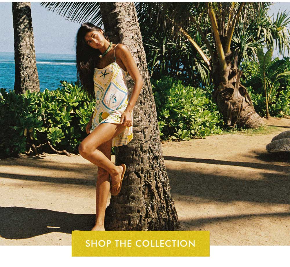Shop the Collection