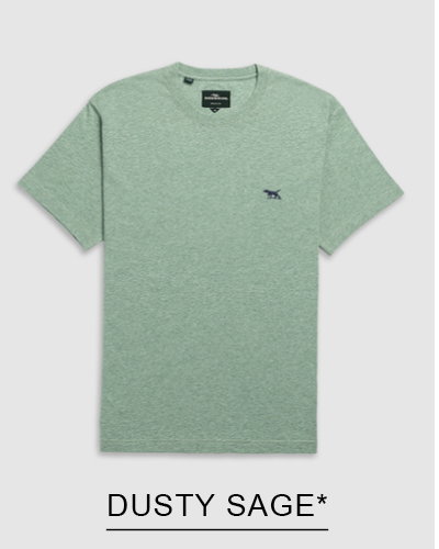 Shop Gunn Tee 2.0, Dusty Sage online and instore at Rodd & Gunn