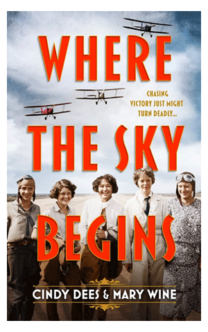 Book cover for where the sky begins cindy dees