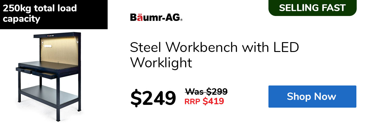 Steel Workbench with LED Worklight