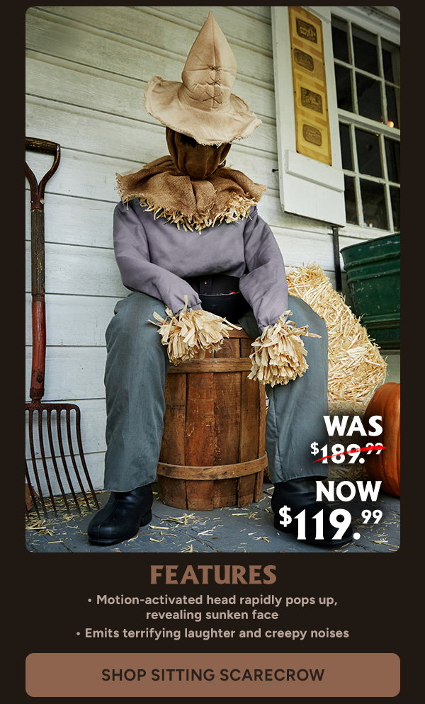Shop Sitting Scarecrow