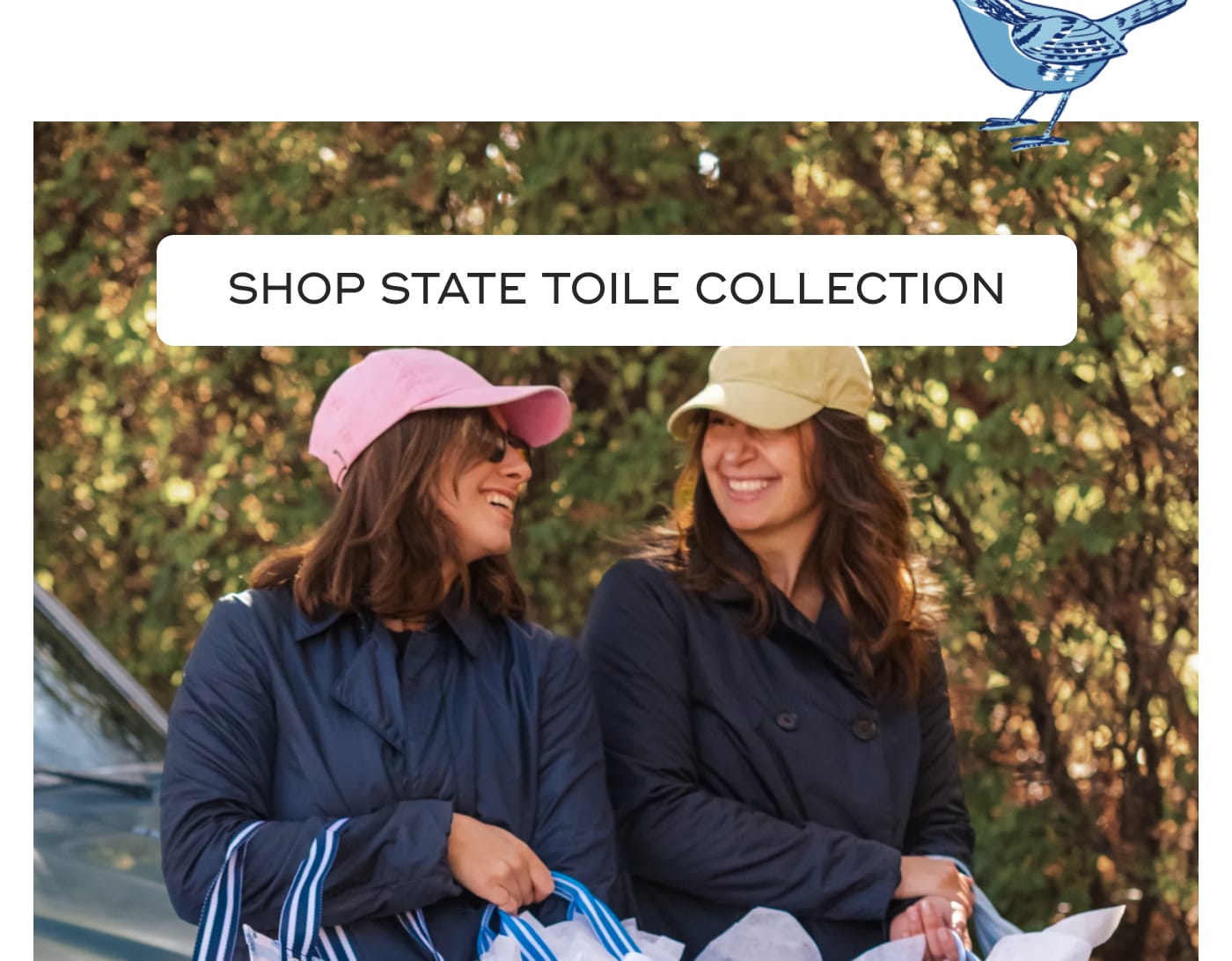 SHOP STATE TOILE COLLECTION