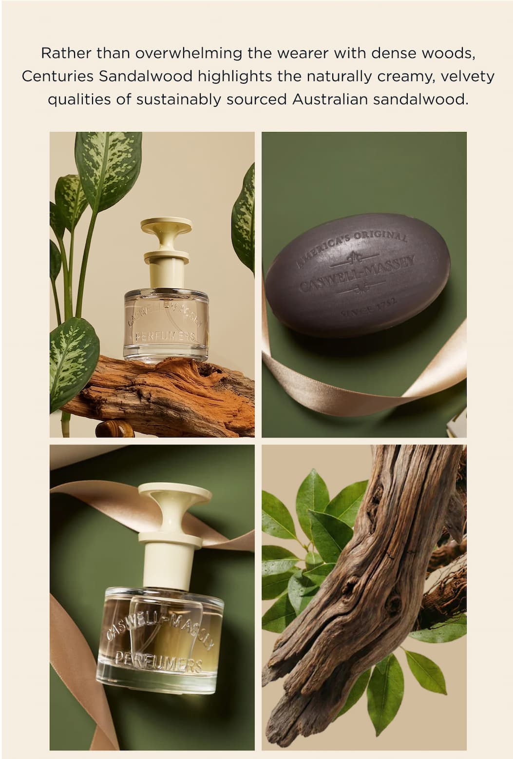 Rather than overwhelming the wearer with dense woods, Centuries Sandalwood highlights the naturally creamy, velvety qualities of sustainably sourced Australian sandalwood.