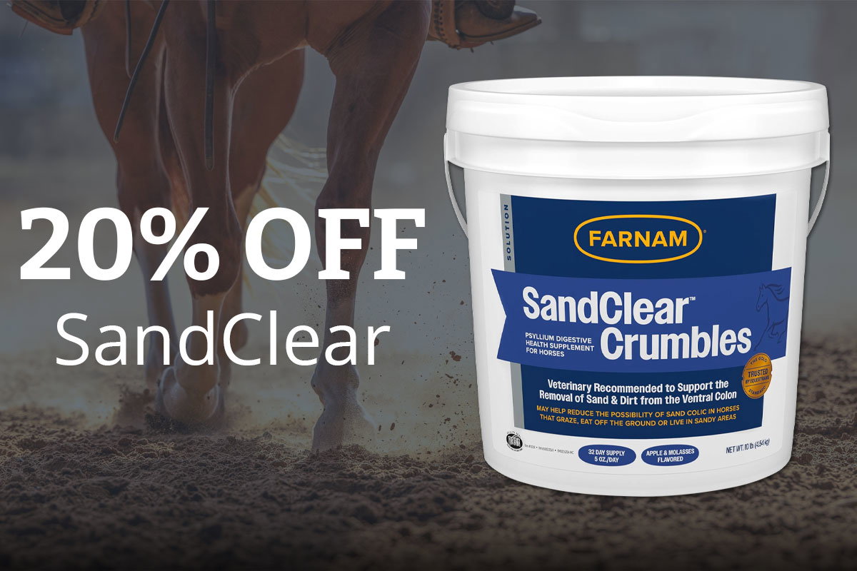 20% Off SandClear - Use Code: SANDCLR