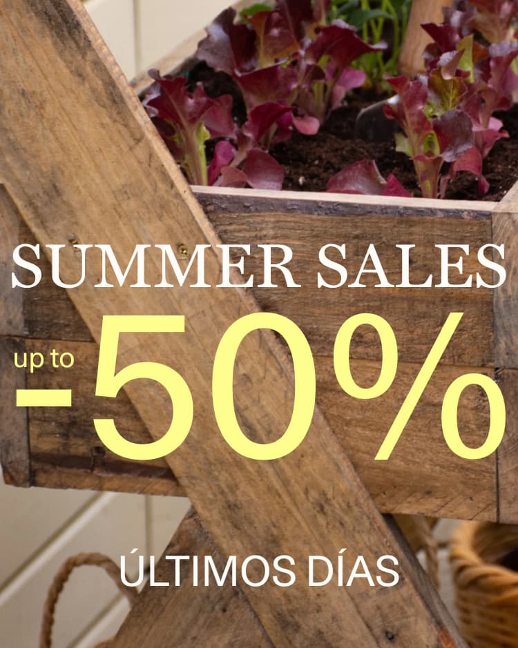 Rebajas de verano