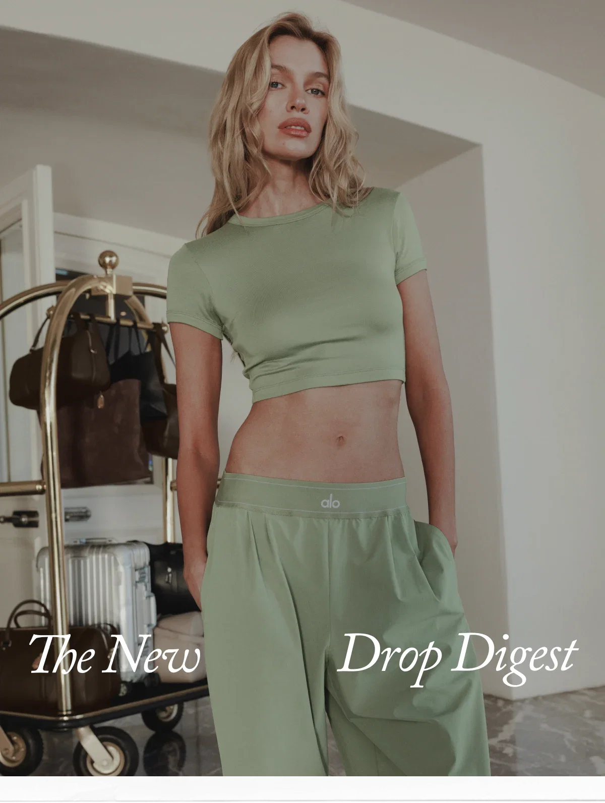 The New Drop Digest