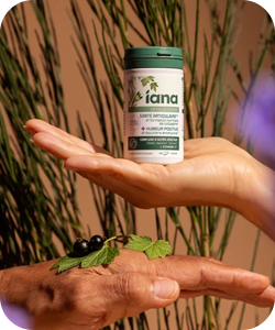 Small supplement bottle held between two hands above green leaves and black berries, natural reed background