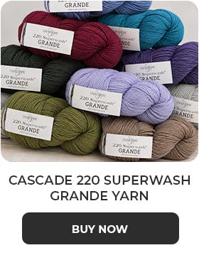 Cascade 220 Superwash Grande Yarn