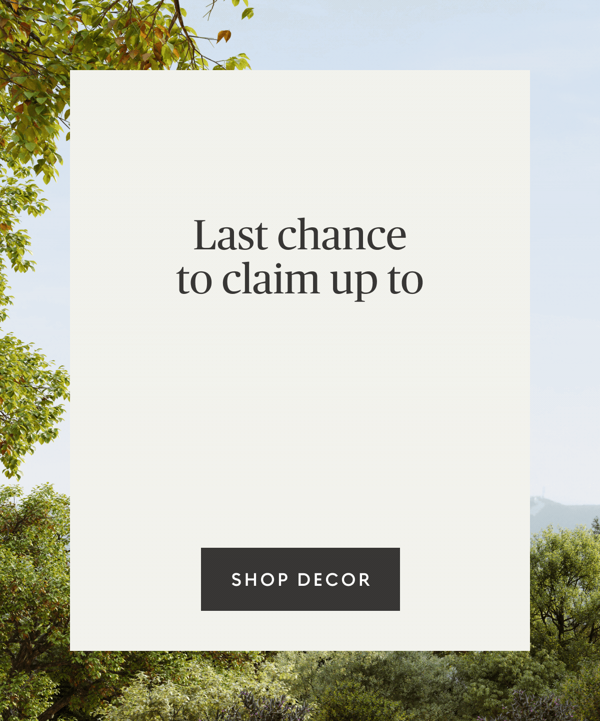 Shop Decor