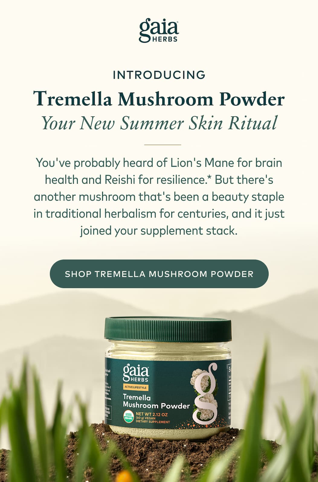 New Tremella Mushroom Powder