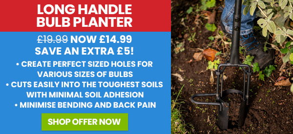 Long Handle Bulb Planter
