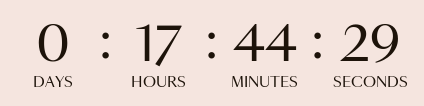 Countdown Timer