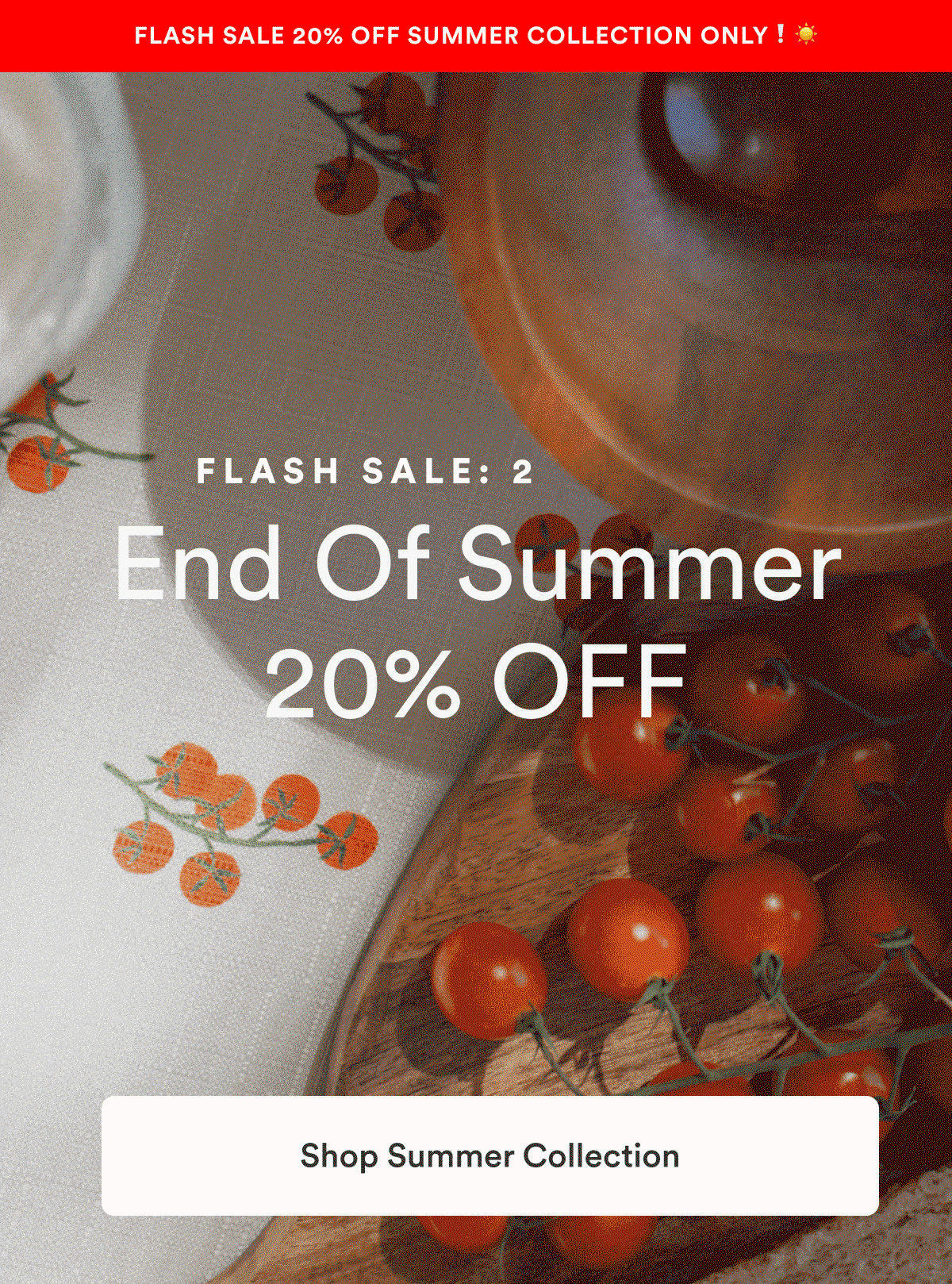 Flash Sale: 24 Hours! End of Summer 20% Off 