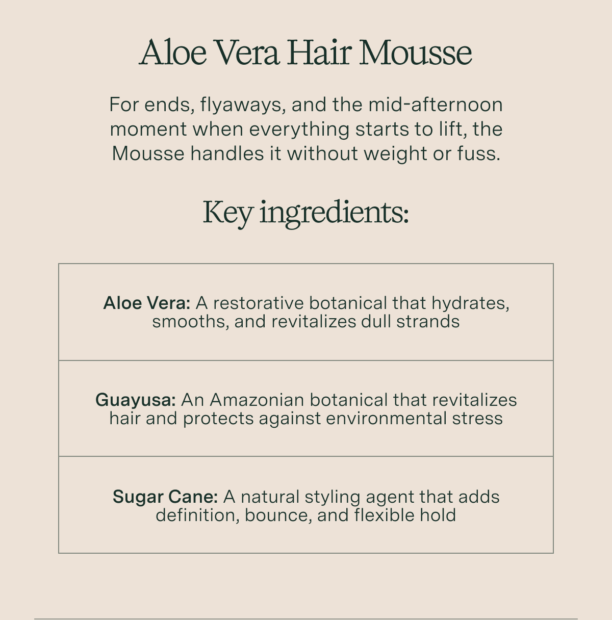 Aloe Vera Hair Mousse