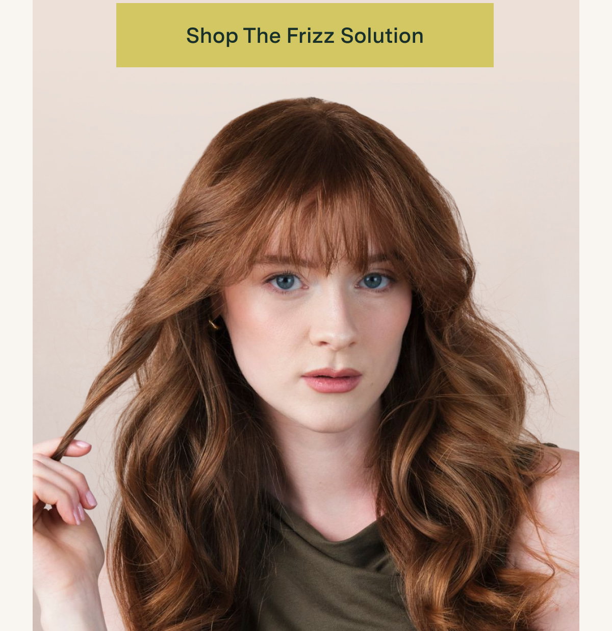 Shop the Frizz Solution