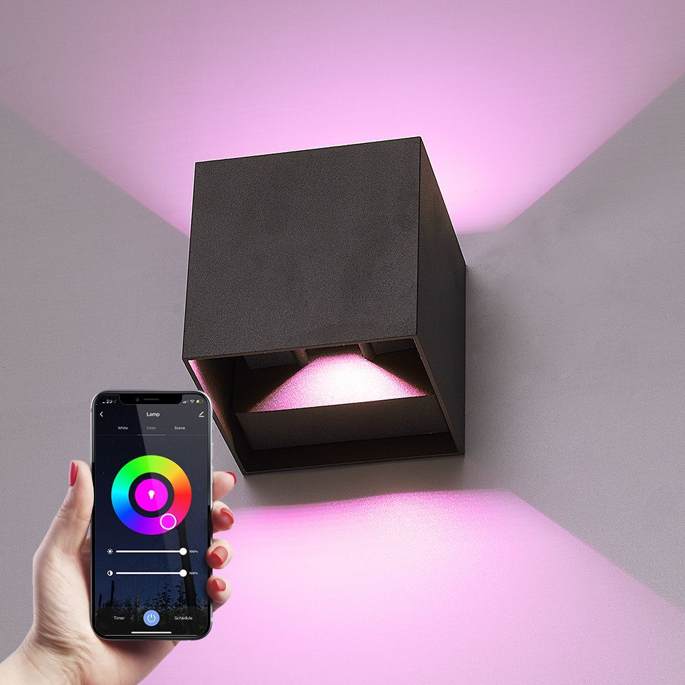Kansas SMART wall light