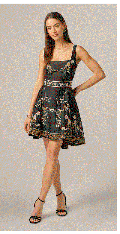 Floral Embroidered Cotton Short Dress In Black Multi