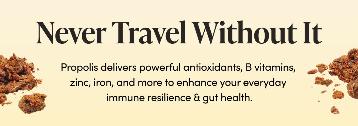Never Travel Without It   Propolis is a natural resin made by bees that delivers powerful antioxidants, B vitamins, zinc, iron, and more to enhance immune resilience & promote gut health. 