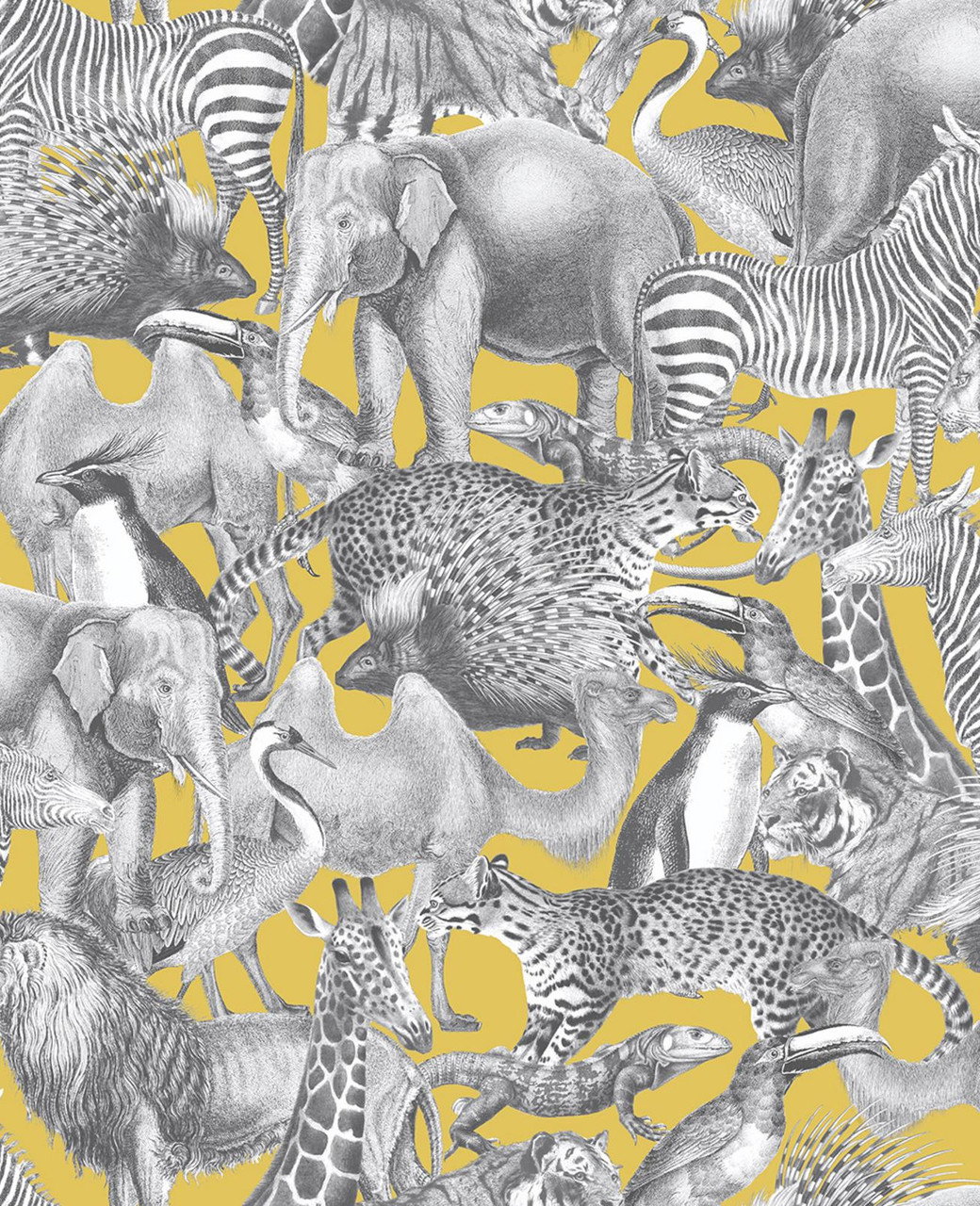 Kingdom Lion Wallpaper