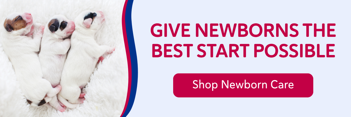 Shop Newborn Care