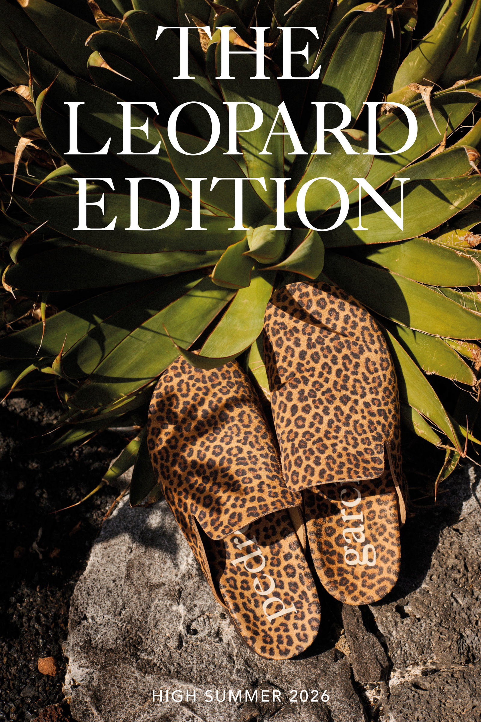 The leopard edition