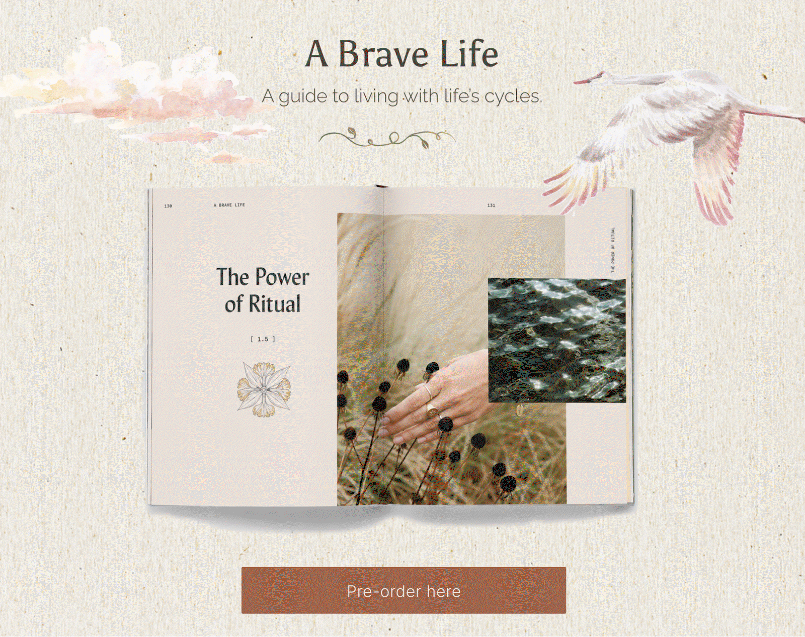 A Brave Life, the debut book by Ancient + Brave. Pre-order now on Amazon.