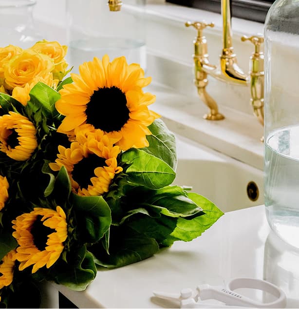 Sunflowers
