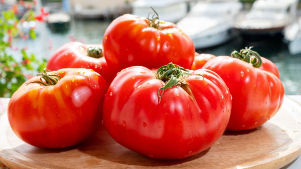 Faut-il mettre les tomates au frigo pour bien les conserver?