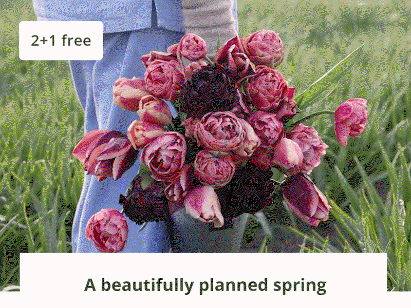 A beautifully planned spring