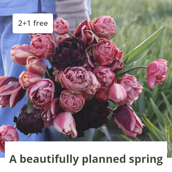 A beautifully planned spring