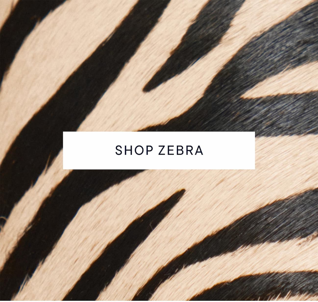 Shop zebra