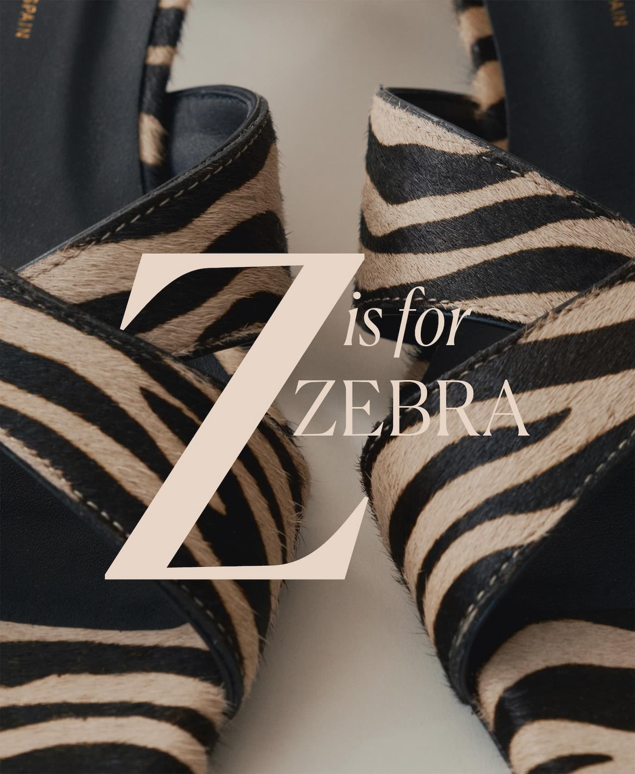 Z is for zebra