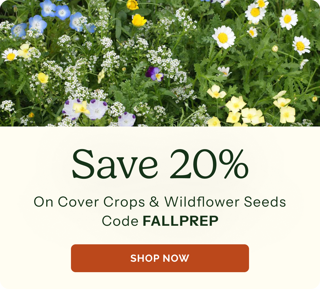 Save 20% On cover crop & wildflower seeds! Code FALLPREP