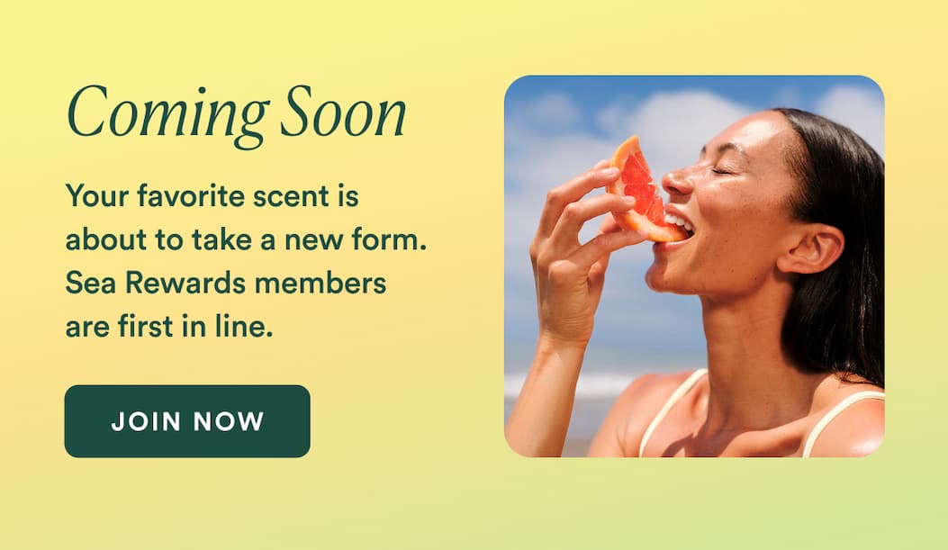 Your favorite scent is about to take a new form. Sea Rewards members are first in line. 
