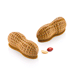 Image of Silikomart ARACHIDE 100 Silicone Peanut Mold