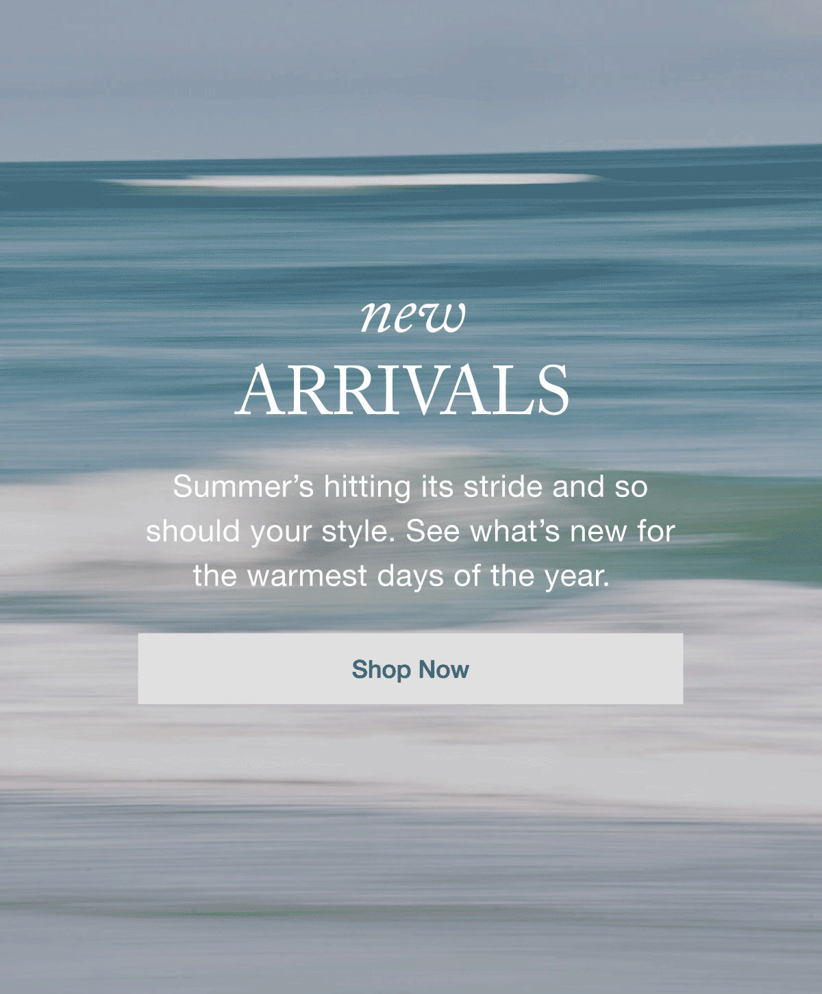 New Arrivals | Shop Now