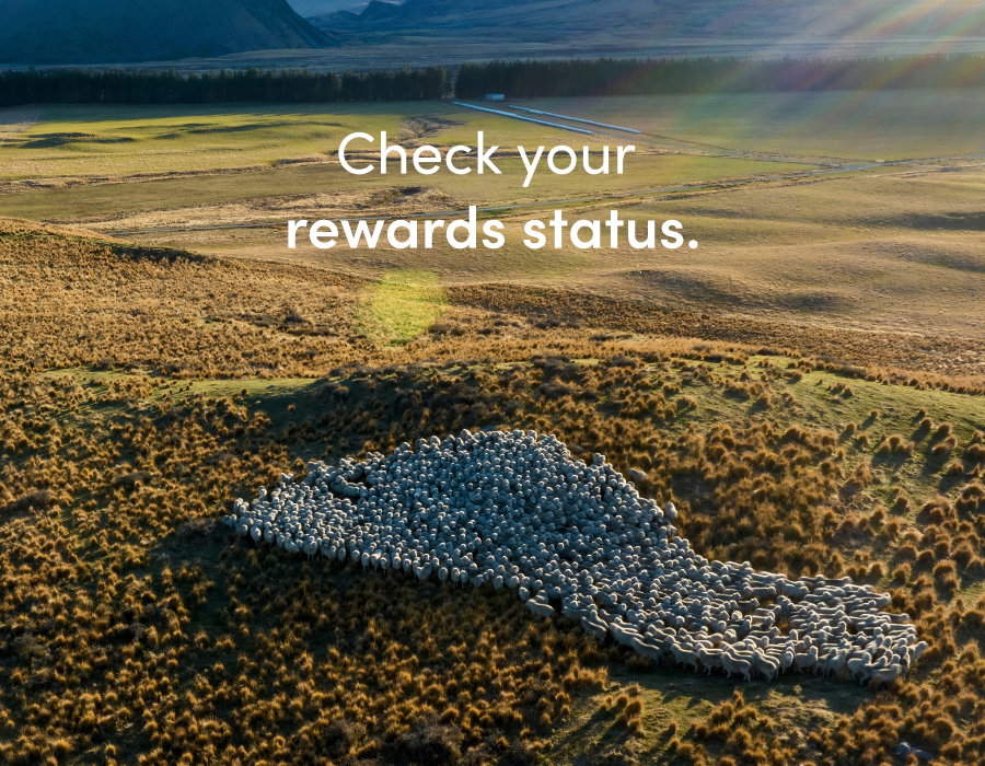 Check your icebreaker reward status