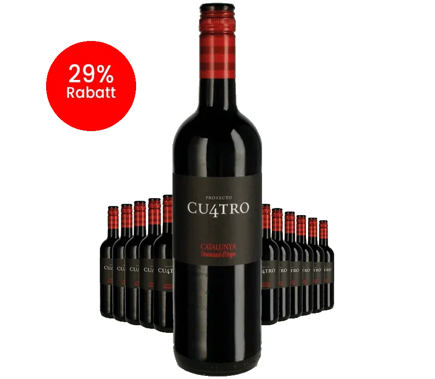 Paket 12 Flaschen Cu4tro Tinto