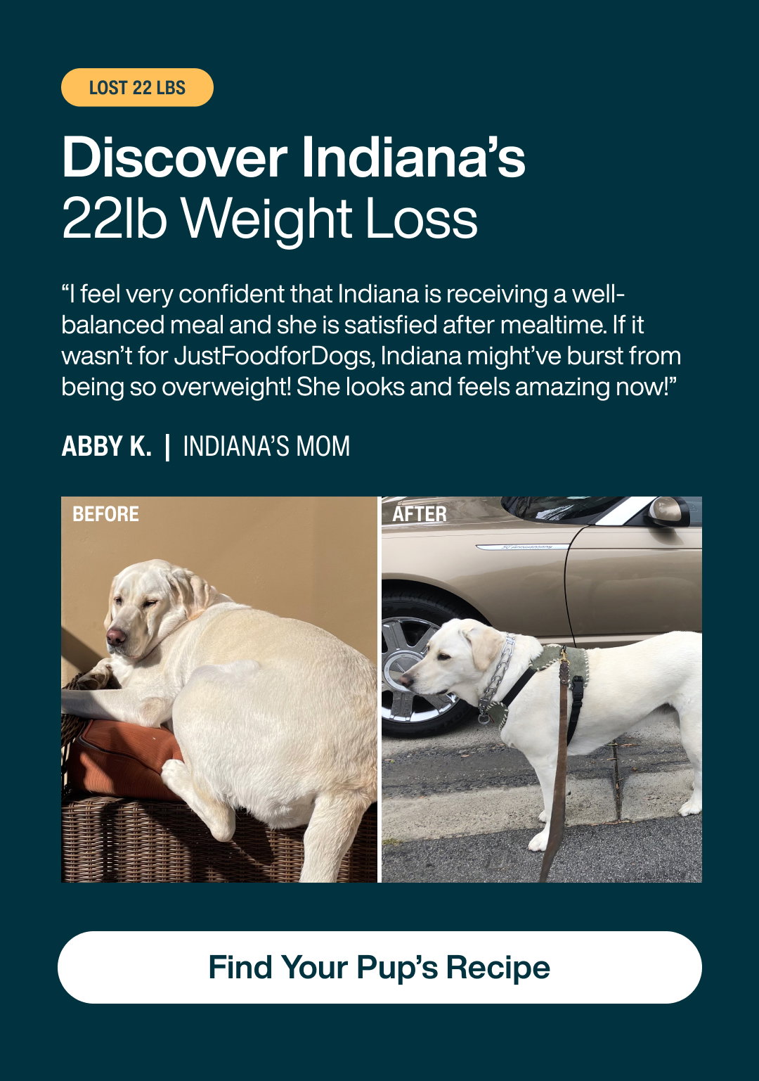 Find your Pup's recipe